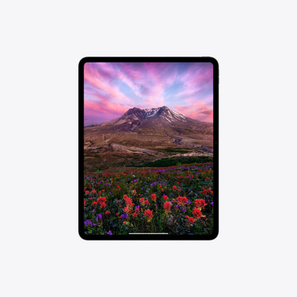 iPad Pro 11-inch - Space Black